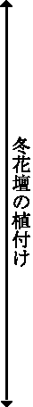 冬花壇の植付け